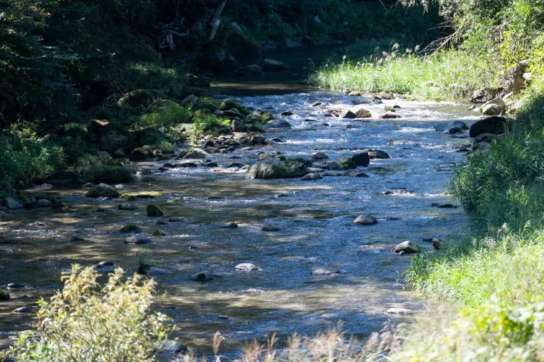 畑の近くを流れる川